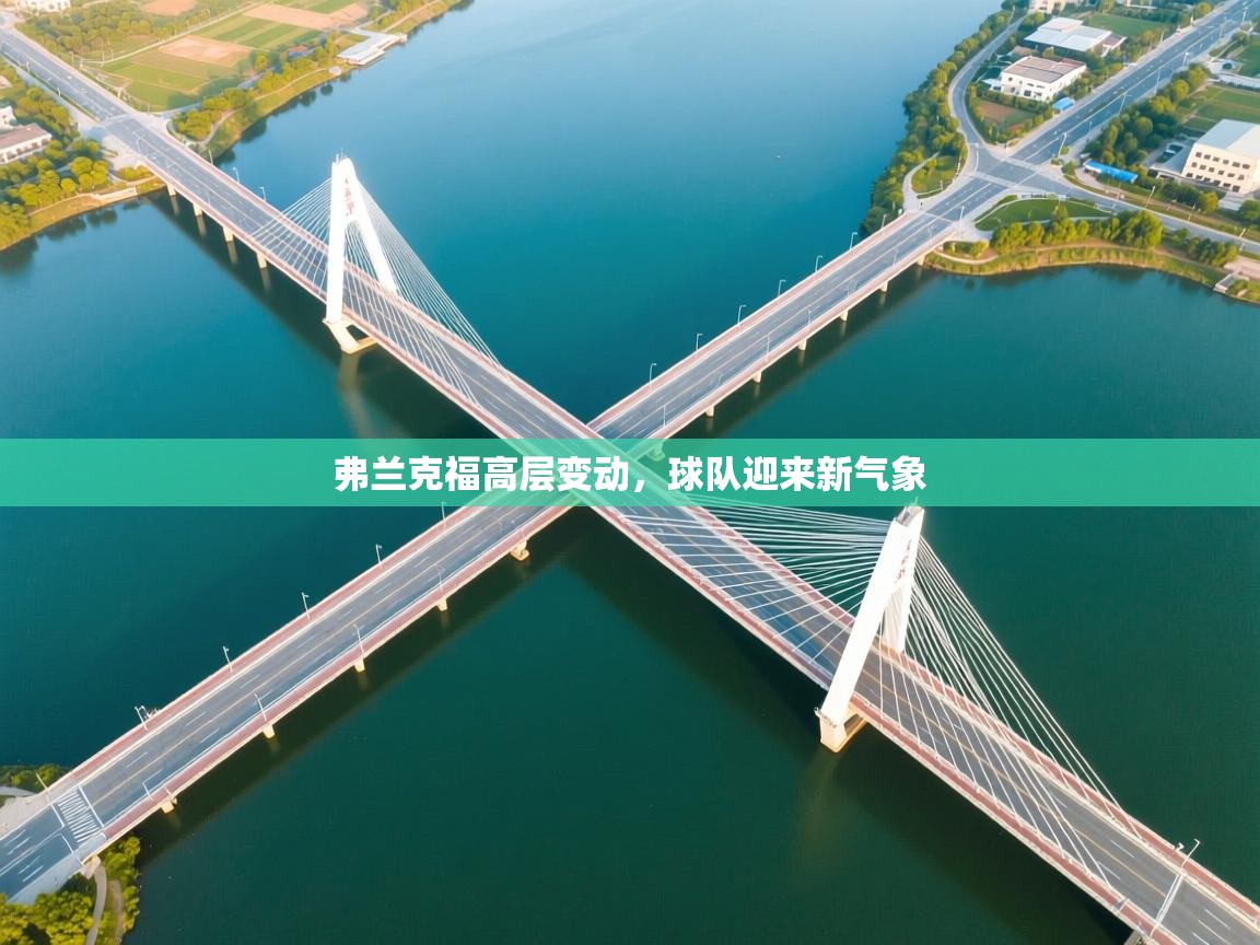 弗兰克福高层变动,球队迎来新气象 第1张