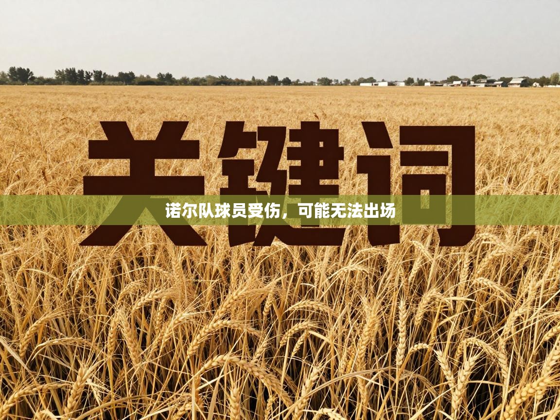 诺尔队球员受伤，可能无法出场  第1张