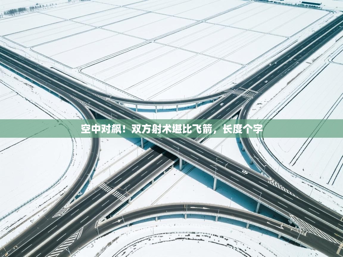 空中对飙！双方射术堪比飞箭，长度个字  第2张