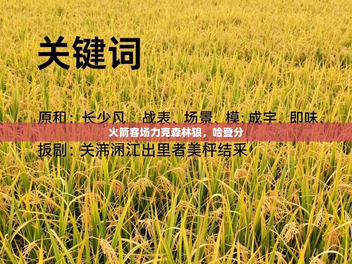 火箭客场力克森林狼，哈登分  第1张