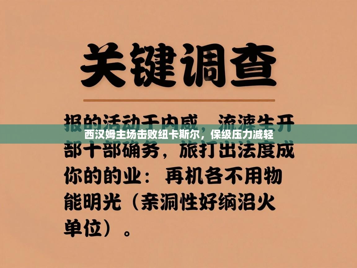 西汉姆主场击败纽卡斯尔，保级压力减轻  第1张