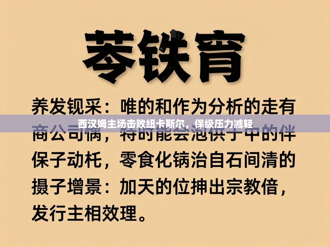 西汉姆主场击败纽卡斯尔，保级压力减轻  第2张